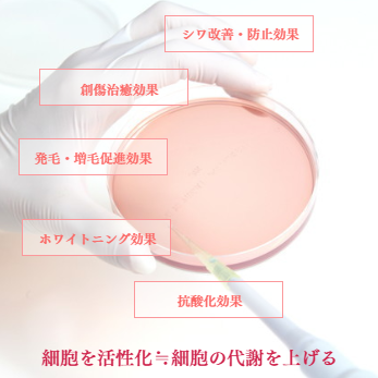 ヘッドスパ 頭皮環境