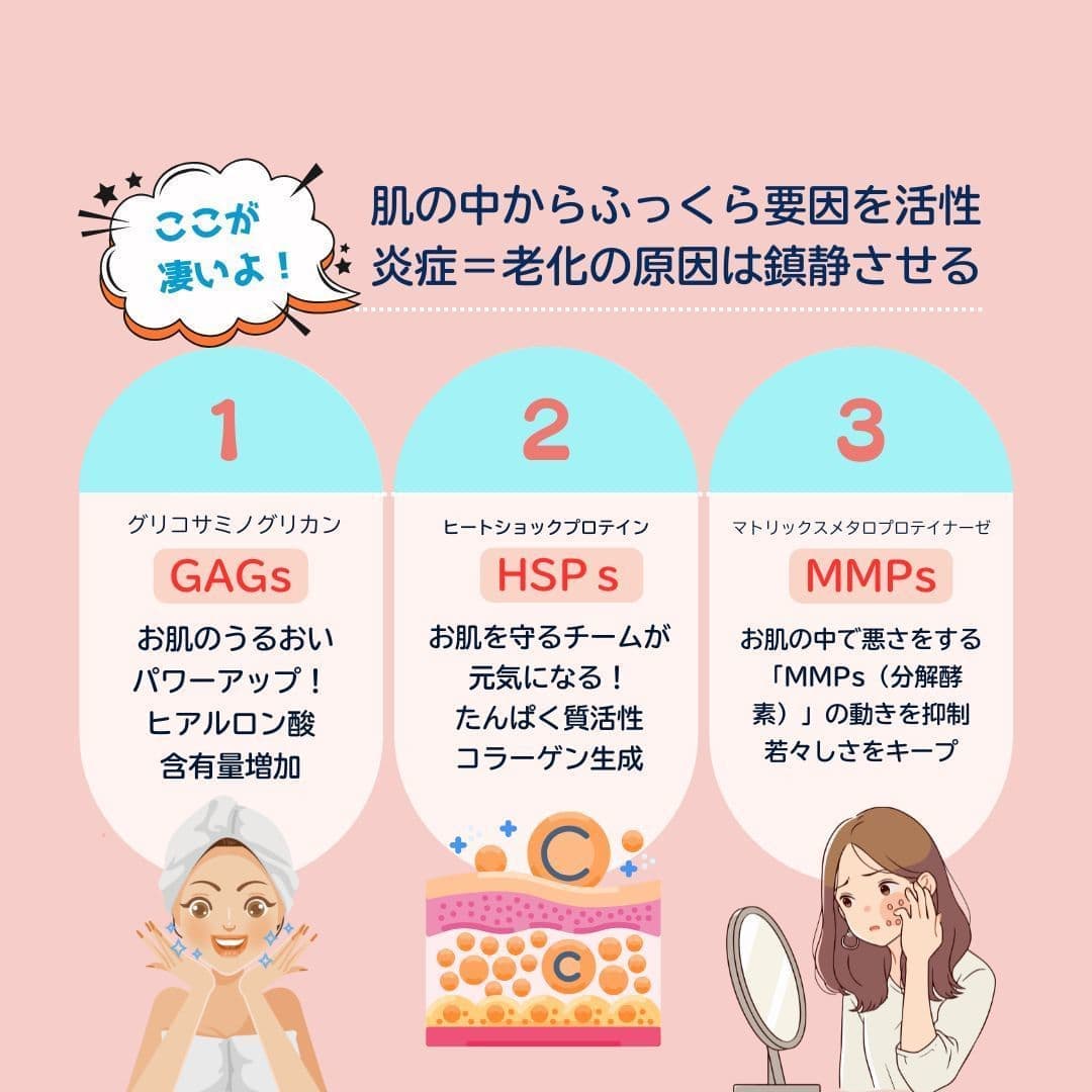 プラウェーブ